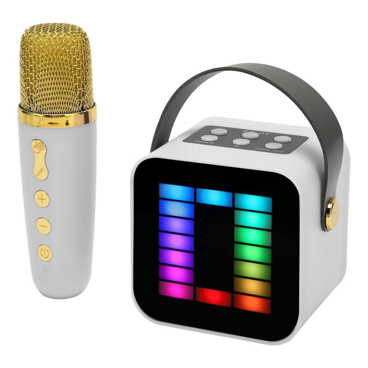 Karaoke Microphone ZX01