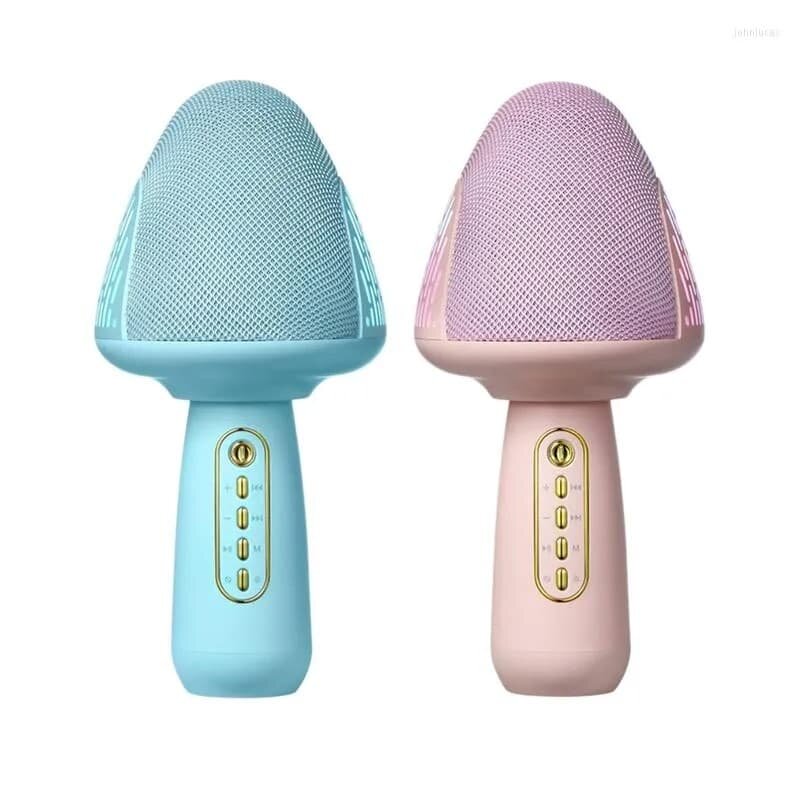 Karaoke MicroPhone MDX2
