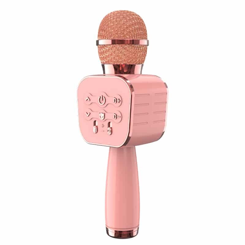 Karaoke Microphone C500