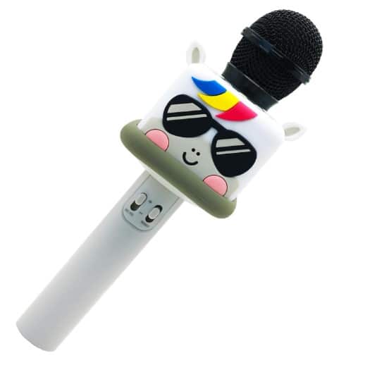 Karaoke Microphone ZX-10